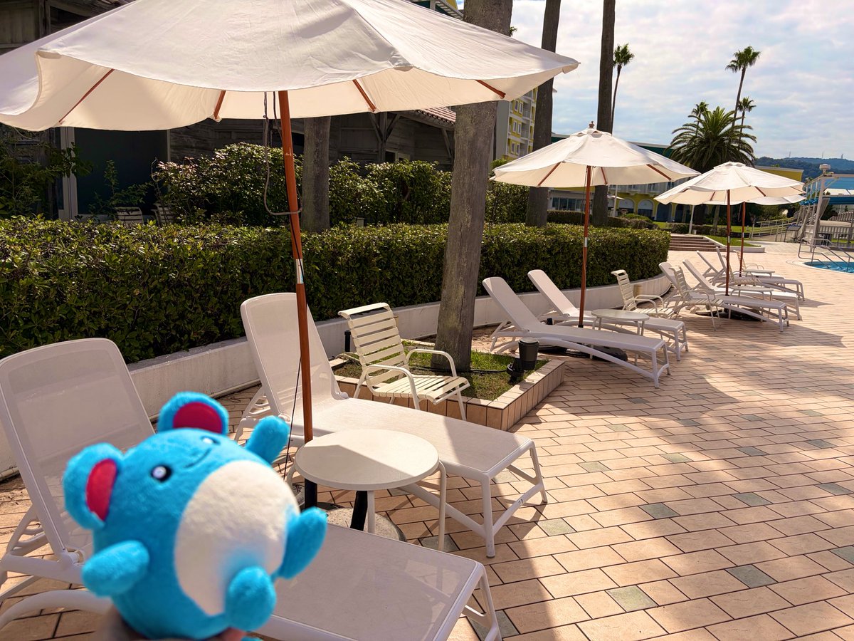 hungry_kirby's tweet photo. プールサイドでくつろぐマリ https://t.co/khXDV52WdJ