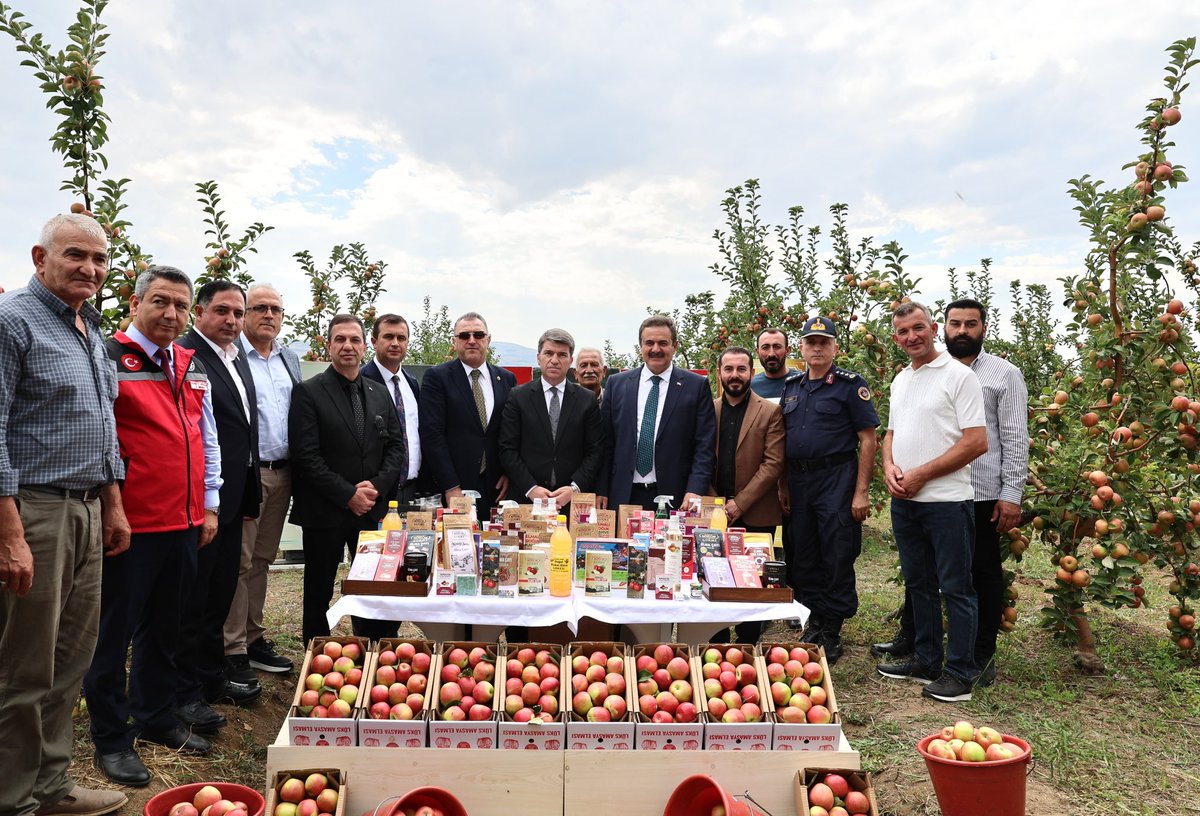 AmasyaValiligi's tweet photo. 📍 Suluova - Kurnaz Köyü

Amasya’mızla özdeşleşen, tadı ve kokusuyla Ülkemizde ün yapmış olan, “Coğrafi İşaret Tescilli Amasya Misket Elması'nın” ilk hasadını gerçekleştirerek, çiftçilerimize bereketli hasatlar diledik.🍎

#AmasyaMisketElması 
#TarımŞehriAmasya https://t.co/c6KOO8G4sJ