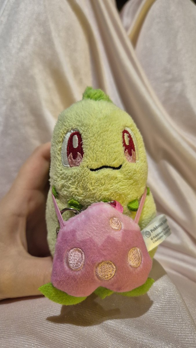 rebehime's tweet photo. I love Pecha berries! What's your favourite berry? #chikorita #チコリータ #ポケぬい https://t.co/bJ1l9ywk3X