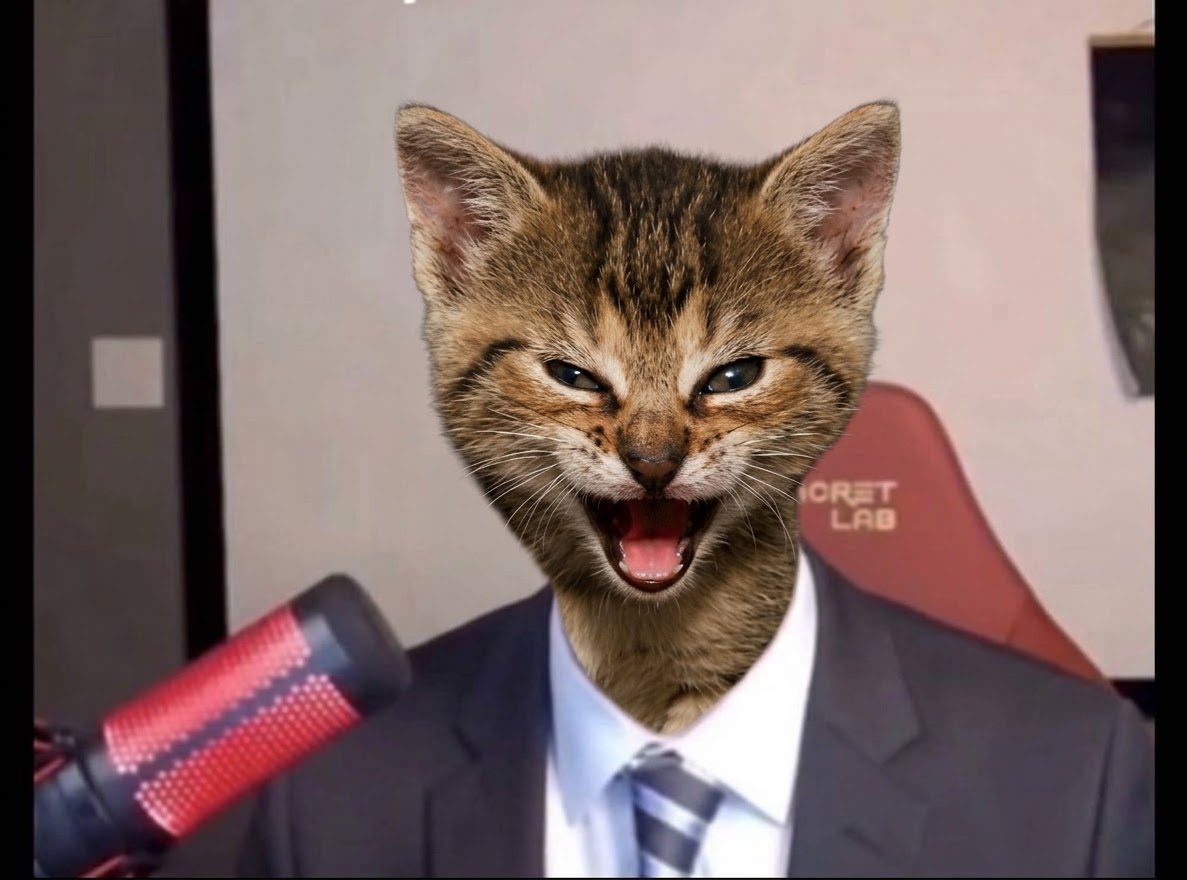 lokin4santis's tweet photo. @bobthebuildaaa Also looking at $Tygr. 

It is the name of the cat behind roaring kitty pfp and everyone in finance recognizes it. 

We’re in cat szn at moment and we finally have a cat that isn’t slop or forced 

AD7cjPhebfrtXSNmBRs6rxnawF87zCeUE2Mxc4ZmWmrH https://t.co/EXJe9PNuuS