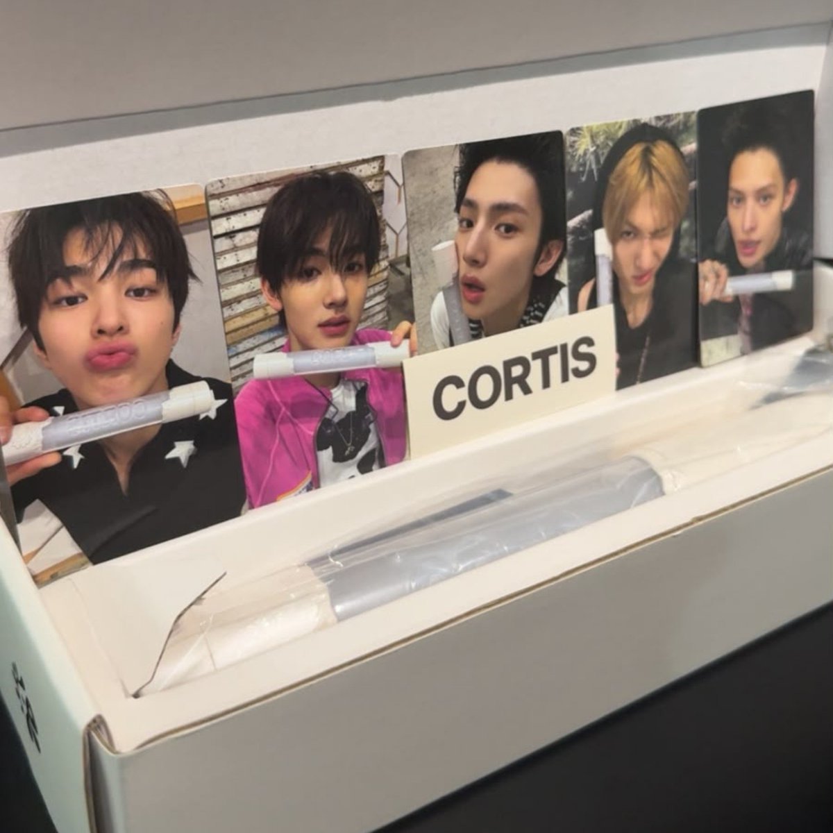 ddeonunat's tweet photo. finally here 🦭 https://t.co/pv0Y19YAdU