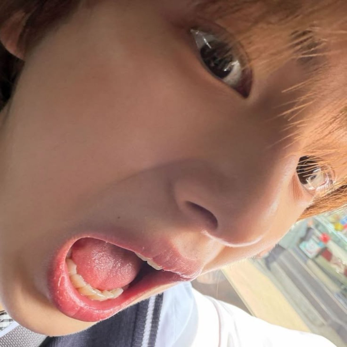 ddeonunat's tweet photo. finally here 🦭 https://t.co/pv0Y19YAdU