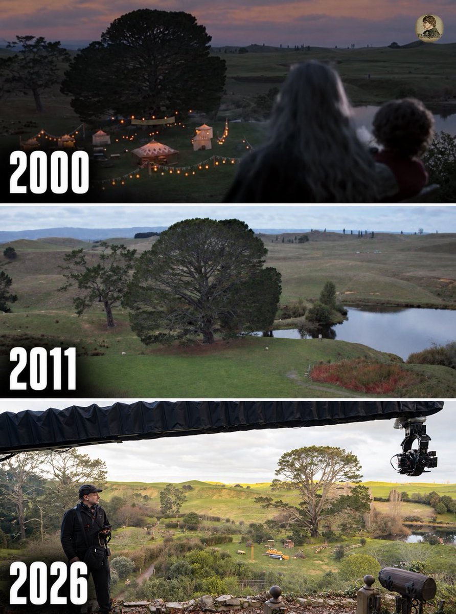 TolkienWorldG's tweet photo. The legendary Party Tree 🥹. It is truly part of the Middle-earth family. https://t.co/JCSmprWJ5S