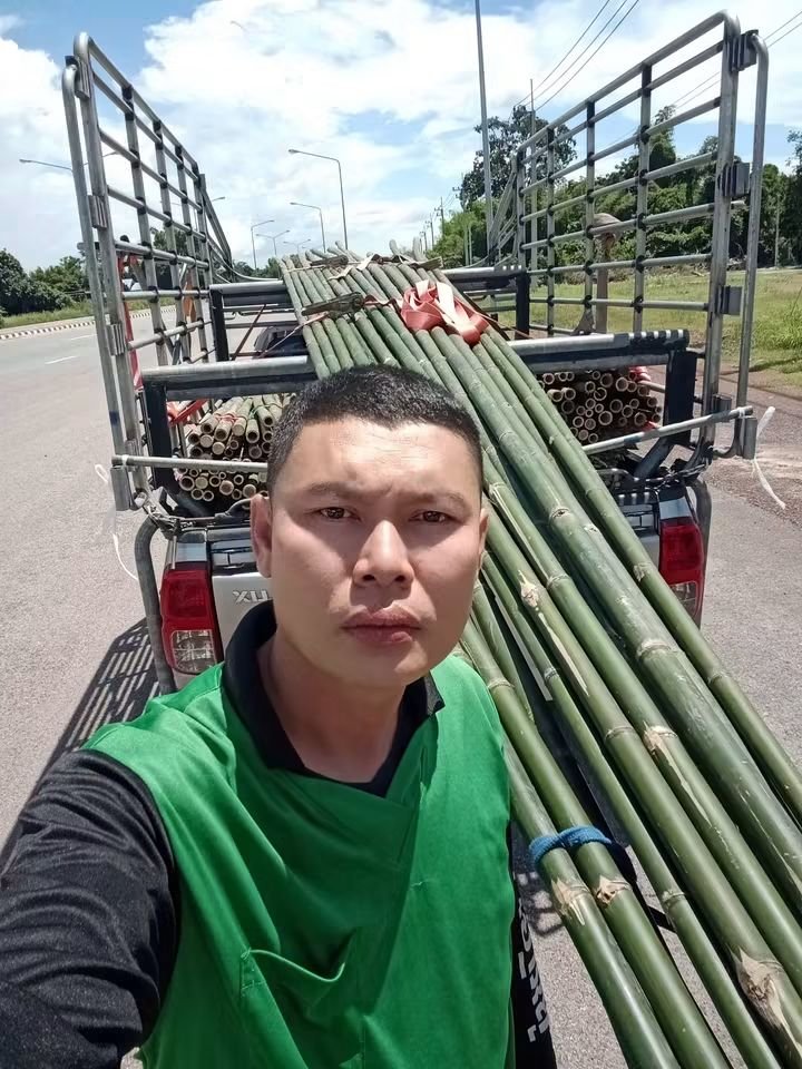 RnphuSng's tweet photo. 🙏ส่งงานวันพุธ ที่ 23/9/2569 (60มัด/ไม้ไผ่เลี้ยง 7เมตร 20ลำ)🙏
🌳ขายตลอดทั้งปีครับ🌳สนใจไม้ไผ่ลำไม้ไผ่ผ่าซีกแหลมปลาย🌳ไม้หลักปักค้ำยันต้นไม้ทุกชนิด🌳
☎️สนใจติดต่อสอบถาม
Tel / line : 0959788029 / 0631629620 / 0626199799 บ๋อม นครนายก
🙏🙏🙏ขอบคุณลูกค้าที่อุดหนุนครับ🙏🙏🙏 https://t.co/4eWjACVR08