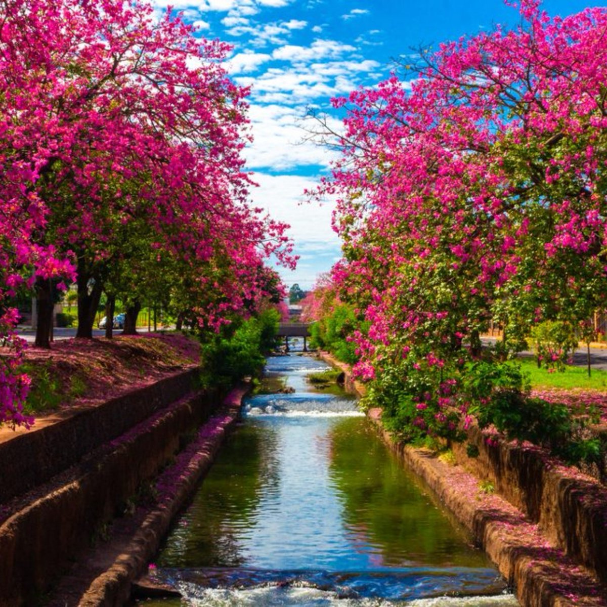 updatecharts's tweet photo. Começou a PRIMAVERA no Brasil. https://t.co/85LSQmbdKs