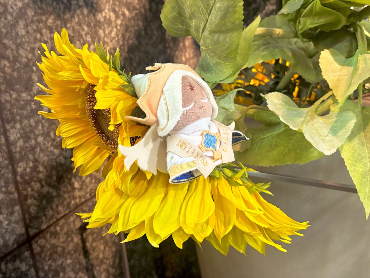 alzz2e's tweet photo. 🌻🍦💤💛 https://t.co/fI7CJmXXGQ
