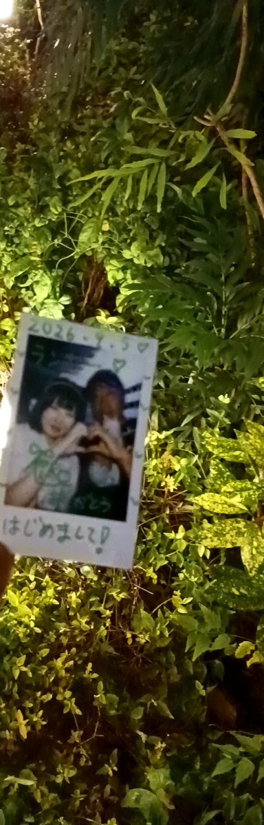 POPOMets513's tweet photo. @Riko_CHEReB 🌃お休みなさい💓♥️❤️ https://t.co/r8MODM9quD