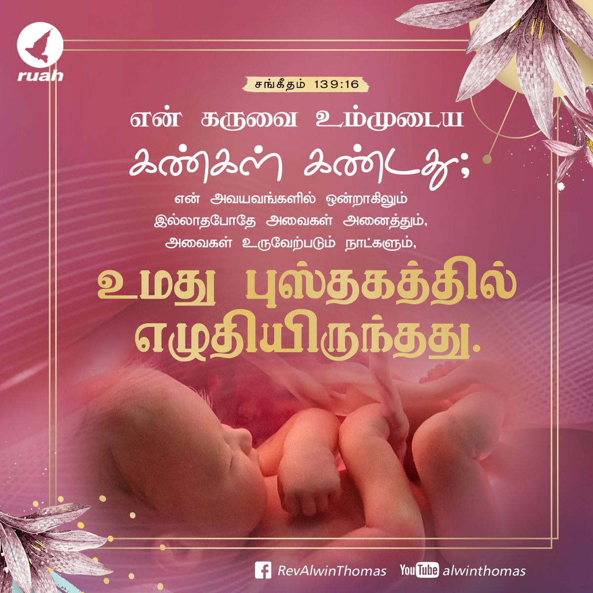 alwinthomas's tweet photo. Psalm 139:16 - "Your eyes saw my unformed body; all the days ordained for me were written in your book before one of them came to be.
#dailyverse #dailymanna #dailybread #dailyquotes #promiseword #ruah #ruahministries #ruahtv #awinthomas #ruahrevivalcenter #bibleverse https://t.co/MMCbUtYrVH