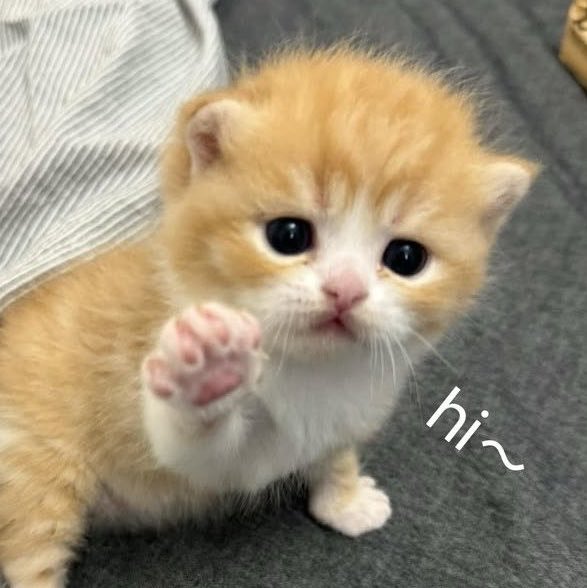 getabinny's tweet photo. https://t.co/XN5JZjfrwT