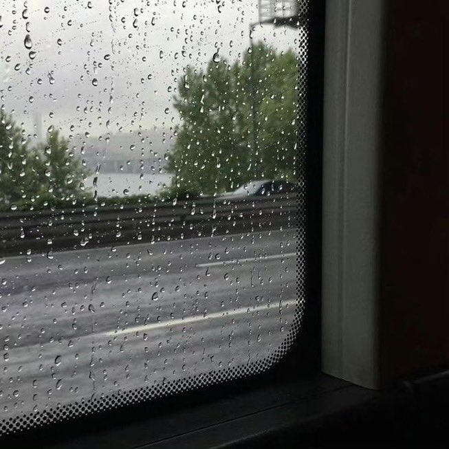 spooky_nature's tweet photo. pouring rain. https://t.co/QhBesuVYhM