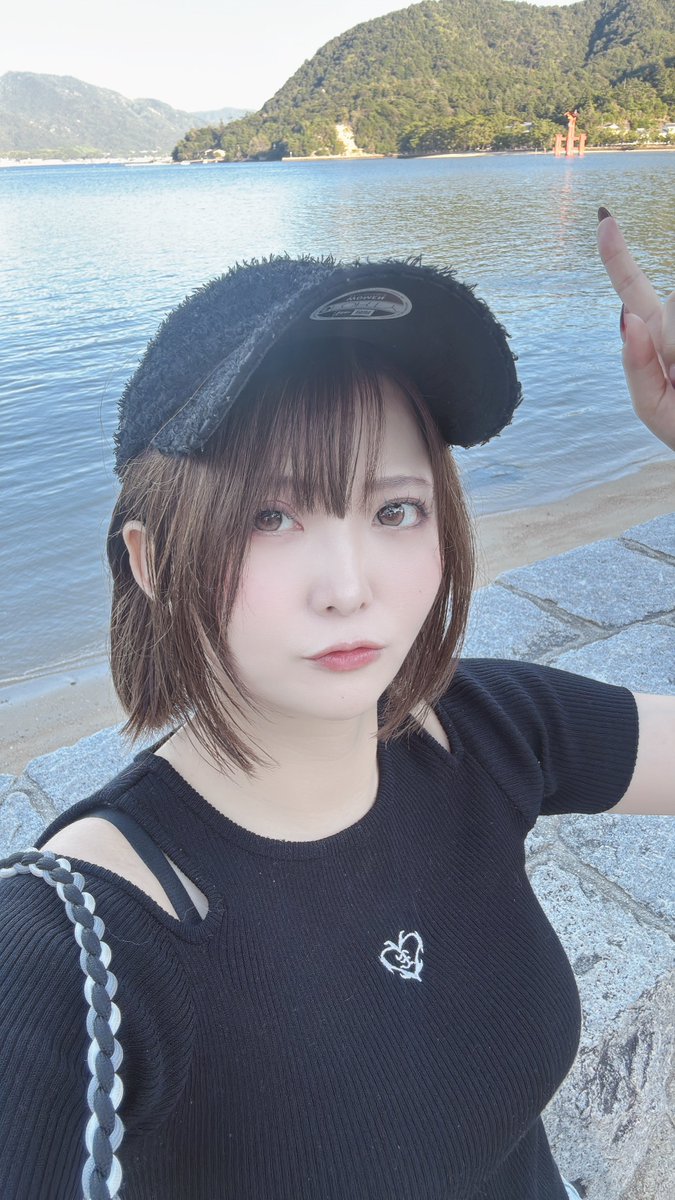 妃月類