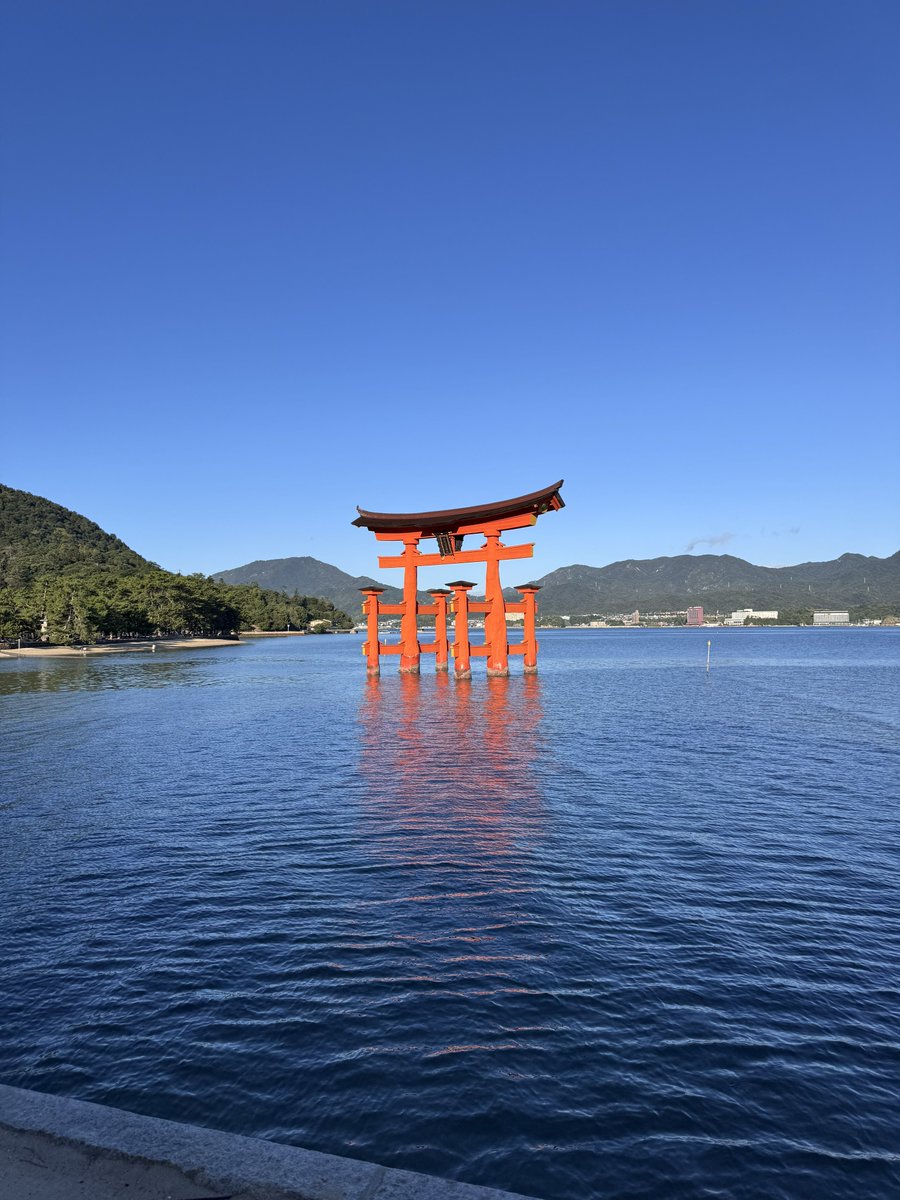 妃月類