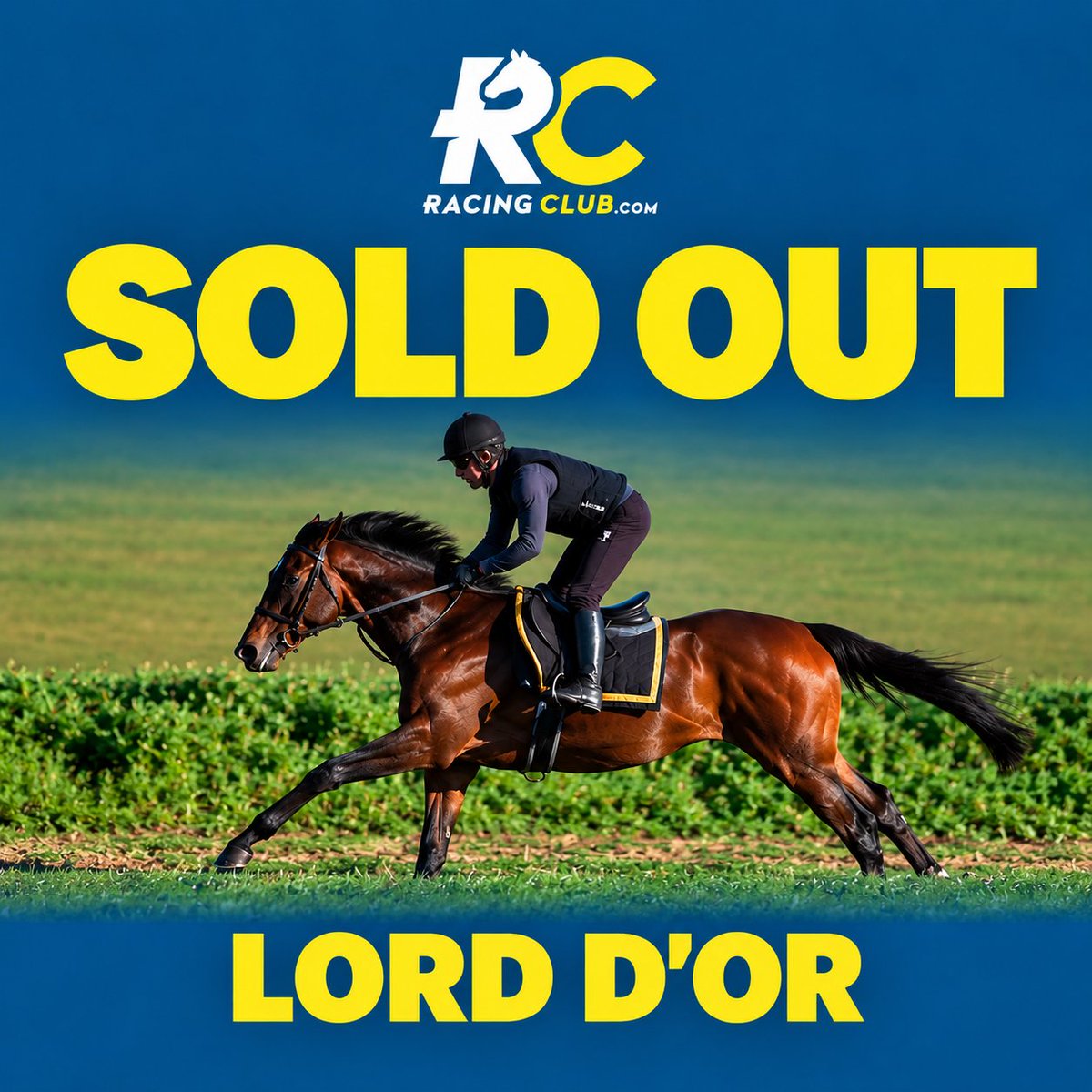RacingClubVIP's tweet photo. 🏇 SOLD OUT – LORD D’OR! 💛💙

We’re delighted to share that all shares in Lord D’Or have now officially SOLD OUT!

A huge thank you to everyone who has joined his Racing Club ownership team. We can’t wait to see what the future holds for him! https://t.co/KsMIX3BEc4