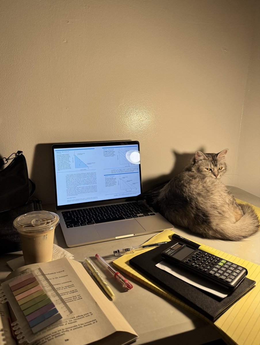 snzdmn's tweet photo. velcro cat https://t.co/qwRlbEPtEL