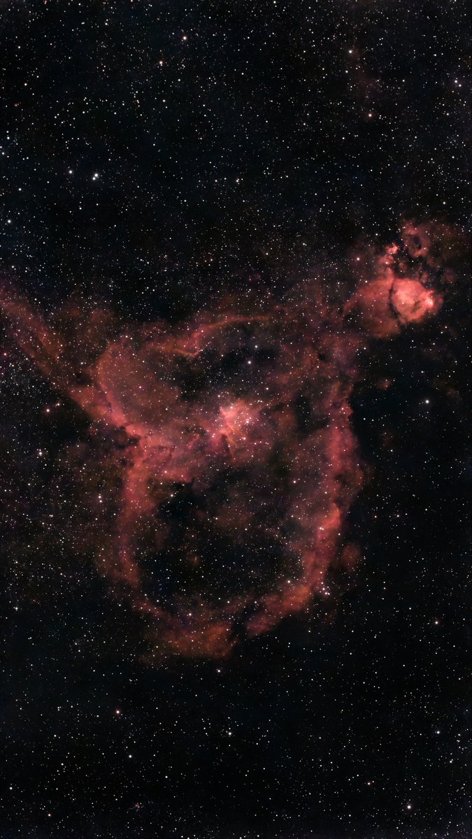 albertdrosphoto's tweet photo. Recently I have been enjoying photographing some Deep Space objects right from my home in the middle of the Netherlands. More info on https://t.co/UrSRNaeOvA https://t.co/Kf5BxaP7wq