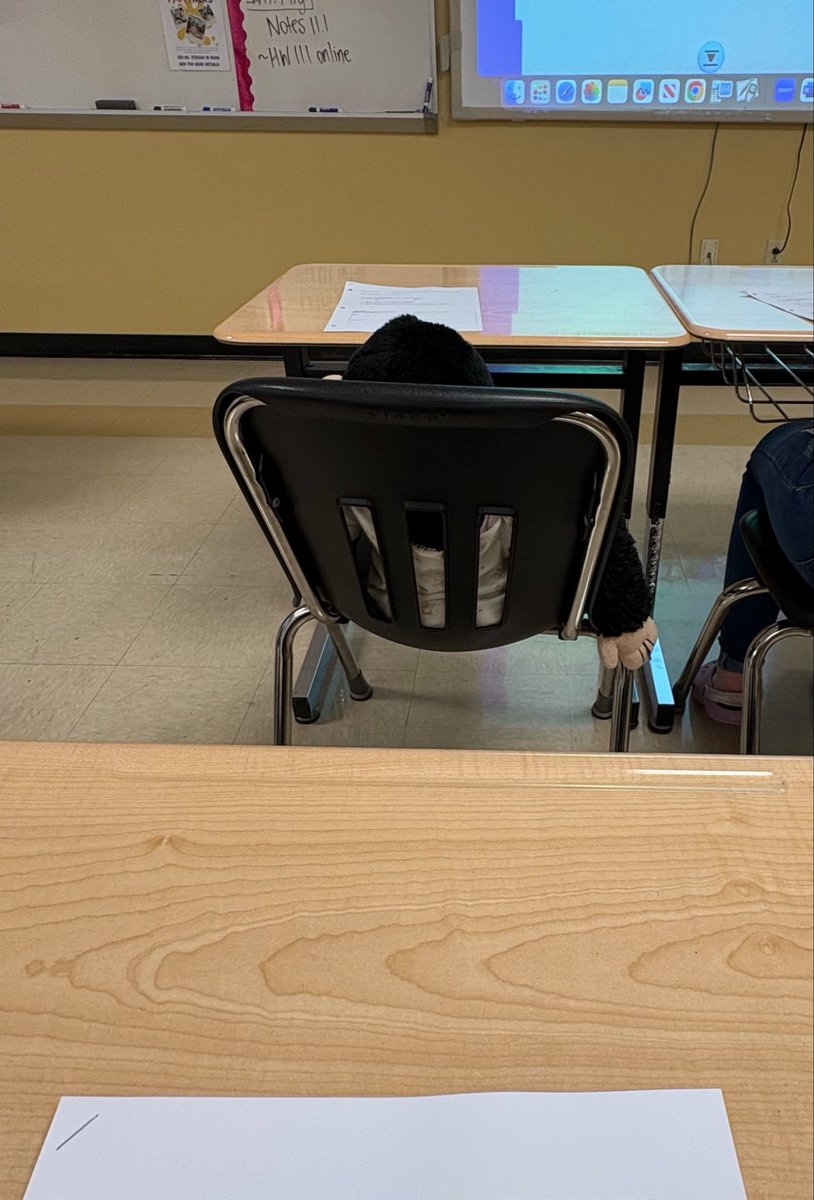 starryeyedel's tweet photo. why is there a monkey and why does it have a worksheet.. https://t.co/JPFKUrXHVf