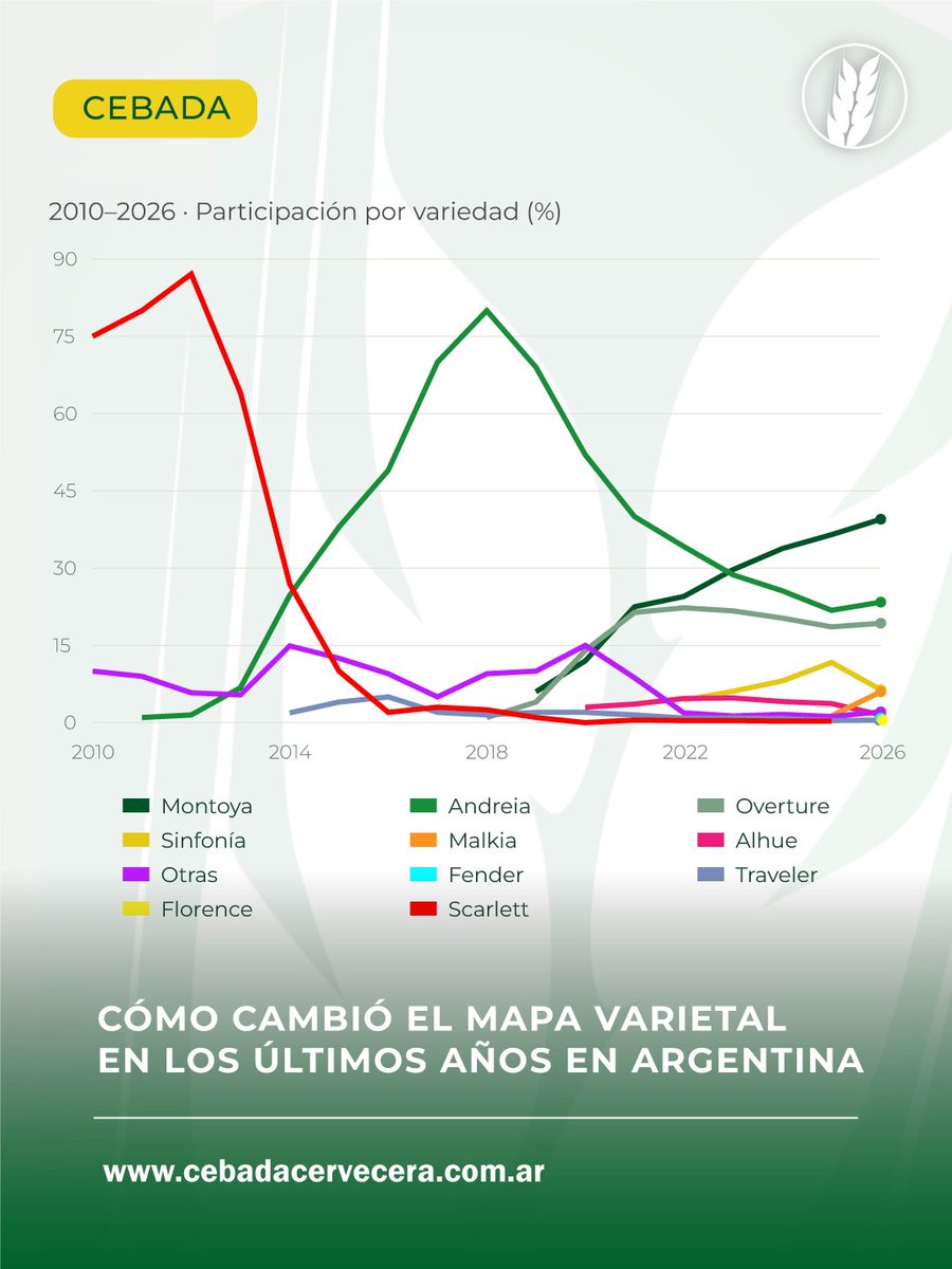 CebadaCervecera's tweet photo. 🌾 Tres variedades concentran el 82,2 % del área estimada de #Cebada en Argentina en 2026.

Montoya lidera por cuarto año consecutivo, con el 39,5 %.

Mirá el ranking y la evolución desde 2010:
https://t.co/RDYlp4QvHa https://t.co/RRphMN6uuk