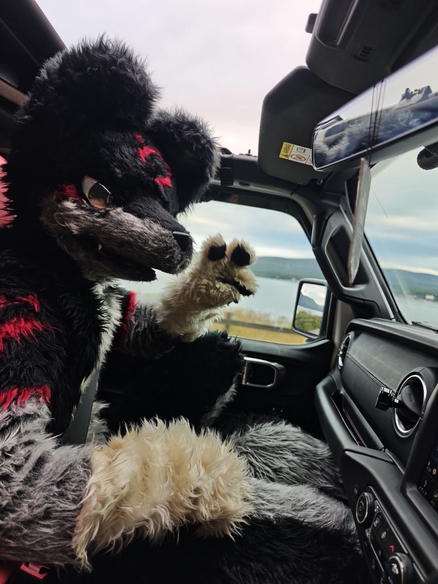 haimyiON's tweet photo. 初めての獣化 楽しすぎた https://t.co/J1dbCsPbmR