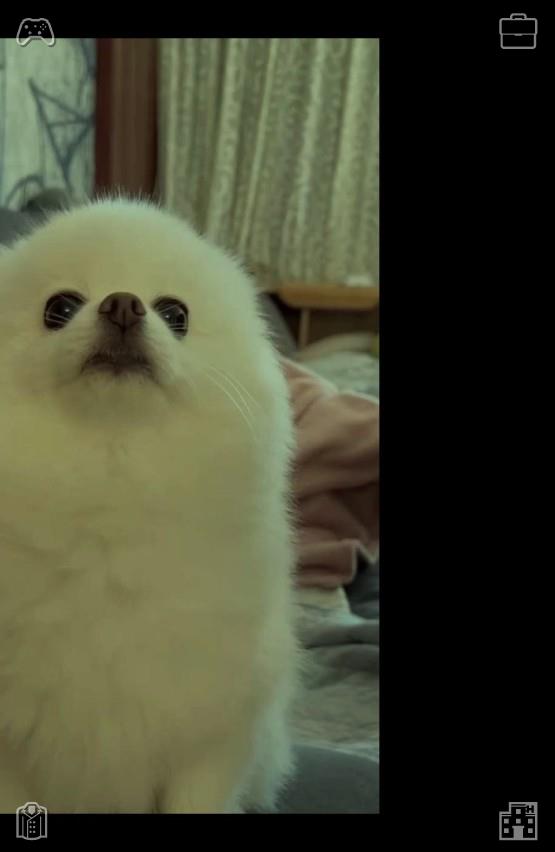 Faiz_aziz27's tweet photo. Lily’s parents were also fond of Buddy, and they would often take him for walks in the evening, talking to him as if he could understand every word, laughing at his silly antics.🥚Turn on the ceiling lamp https://t.co/xKW3sGm62K