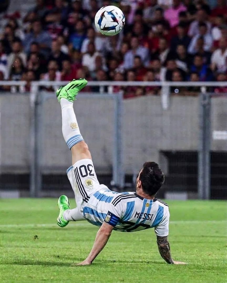 Musttalkk's tweet photo. Debate settled, choose your goat

Cr7 at 40 yrs 🐐              Messi at 39🦝🐰 https://t.co/jRECxaQcax