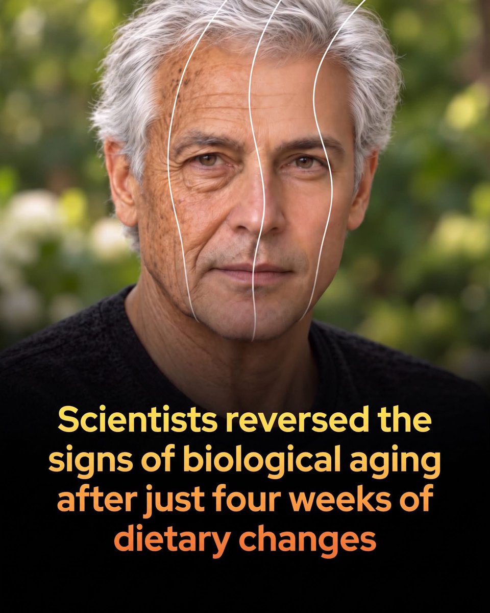 SmartScience's tweet photo. Simple dietary shifts have been shown to rapidly reverse the key biological markers of aging.

The study, from scientists at the University of Sydney, reveals that most individuals can turn back their body's internal clock in as little as four weeks. 

Researchers tracked 104 Australians aged 65 to 75, randomly placing them on four different diets with varying balances of fat, protein, and carbohydrates.

 To measure their biological age—which reflects how well the body actually functions compared to one's chronological age—the scientists evaluated 20 critical health biomarkers, including cholesterol, insulin levels, and C-reactive protein, a primary indicator of systemic inflammation. Shockingly, three out of the four groups exhibited marked reductions in their biological age scores after only a month on their new meal plans, proving that aging-related markers can respond remarkably fast to dietary intervention.

While all participants consumed the same portion of daily calories from protein, the sources and macronutrient ratios made a substantial difference. The most pronounced improvements occurred in the group eating an omnivorous diet that was lower in fat and higher in carbohydrates, consisting of roughly 53% carbohydrates, 28% to 29% fat, and 14% protein. 

Groups that switched to semi-vegetarian diets rich in plant-based proteins also enjoyed a decrease in their biological age. Conversely, those who stuck to a high-fat omnivorous diet—closest to typical Western eating habits—saw no physiological improvement. Though researchers caution that longer trials are required to confirm if these changes translate to a longer lifespan or reduced disease risk, the findings suggest that small, practical adjustments later in life can yield rapid health dividends.

source: Andrews, C. J., Ribeiro, V. R., Gosby, A., Le Couteur, D. G., Raubenheimer, D., Tan, J., Simpson, S. J., & Senior, A. M. (2026). Short-term dietary intervention alters physiological profiles relevant to ageing. Aging Cell.