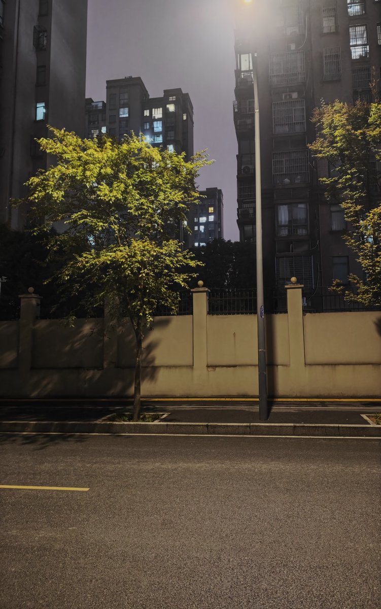 2yw899's tweet photo. ��灯下，树影落在马路上，钢筋水泥地城市里~原味豆浆，白棉袜，虎头鞋，汉服绣花~我和流浪猫一起在等末班车， https://t.co/j0RXoEs4FF