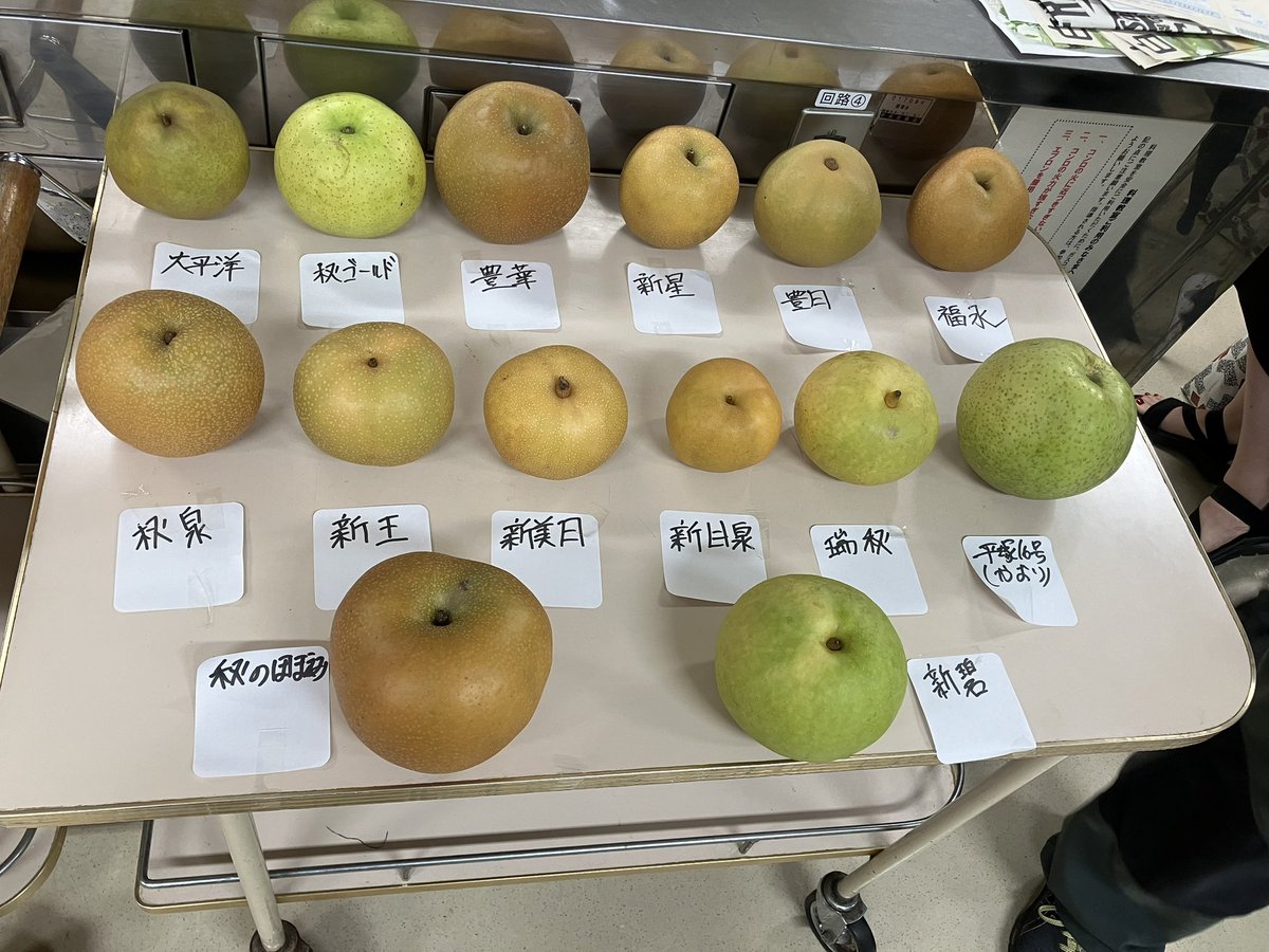 neco3nemui's tweet photo. 梨の食べ比べ会に参加しました
新碧と福水が抜群に美味しかった。じゃんけんで新碧ゲット。
かおりもほほえみも良かった。
美味しい梨をたくさん用意して解説して、鮮やかなナイフ捌きで剥き続けて、提供して下さったスタッフの皆様に感謝です。

#食べ比べ会 https://t.co/aUxSCmufLn