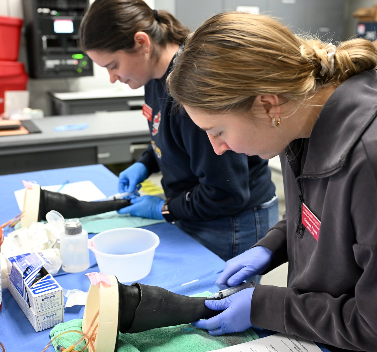 ISUVetMed's tweet photo. FOUNDATIONAL SKILLS. @ISUVetMed DVM students learn clinical skills in their first semester of classes. Current first-year students were in the Clinical Skills Laboratory this week learning how to draw up medications and give injections. #developdiscoverdeliver https://t.co/nwjj3aureU