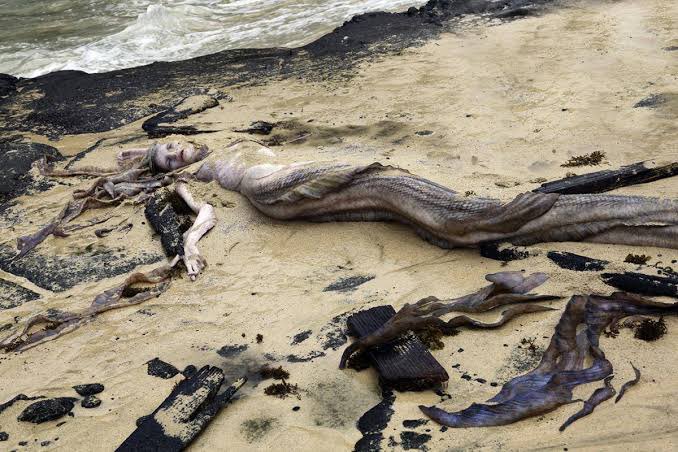 mauadgui's tweet photo. me choca até hoje essa escultura de cadáver de sereia do joel harlow pro piratas do caribe 4 https://t.co/3F5aZVk1le