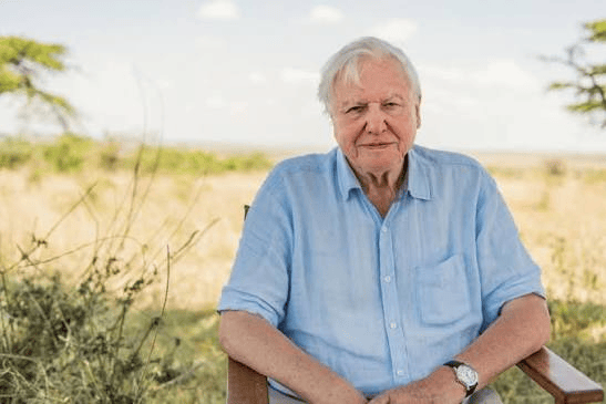 vikralnews's tweet photo. David Attenborough Turns 100: Latest News and Legacy
Read more : https://t.co/6KwJfCzhaX https://t.co/bIaiNdpBB2