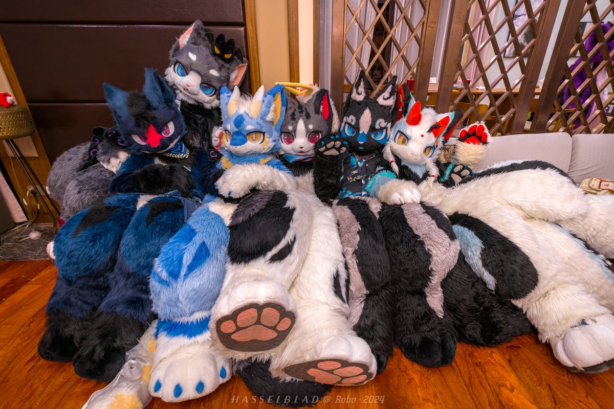 MROSEclipse's tweet photo. #兽装1000天
DAY765
📸@_Roborab
🐱@KuraTatsu_
🐺@lx2047789169
🐉@ZEROS41795164
🐱@na_pluss
🌙@MROSEclipse
🐉@DragonDreamy_ https://t.co/GCWGcBuJRK