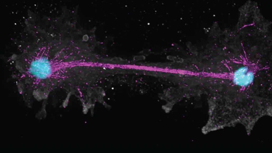 RCScience tweet picture