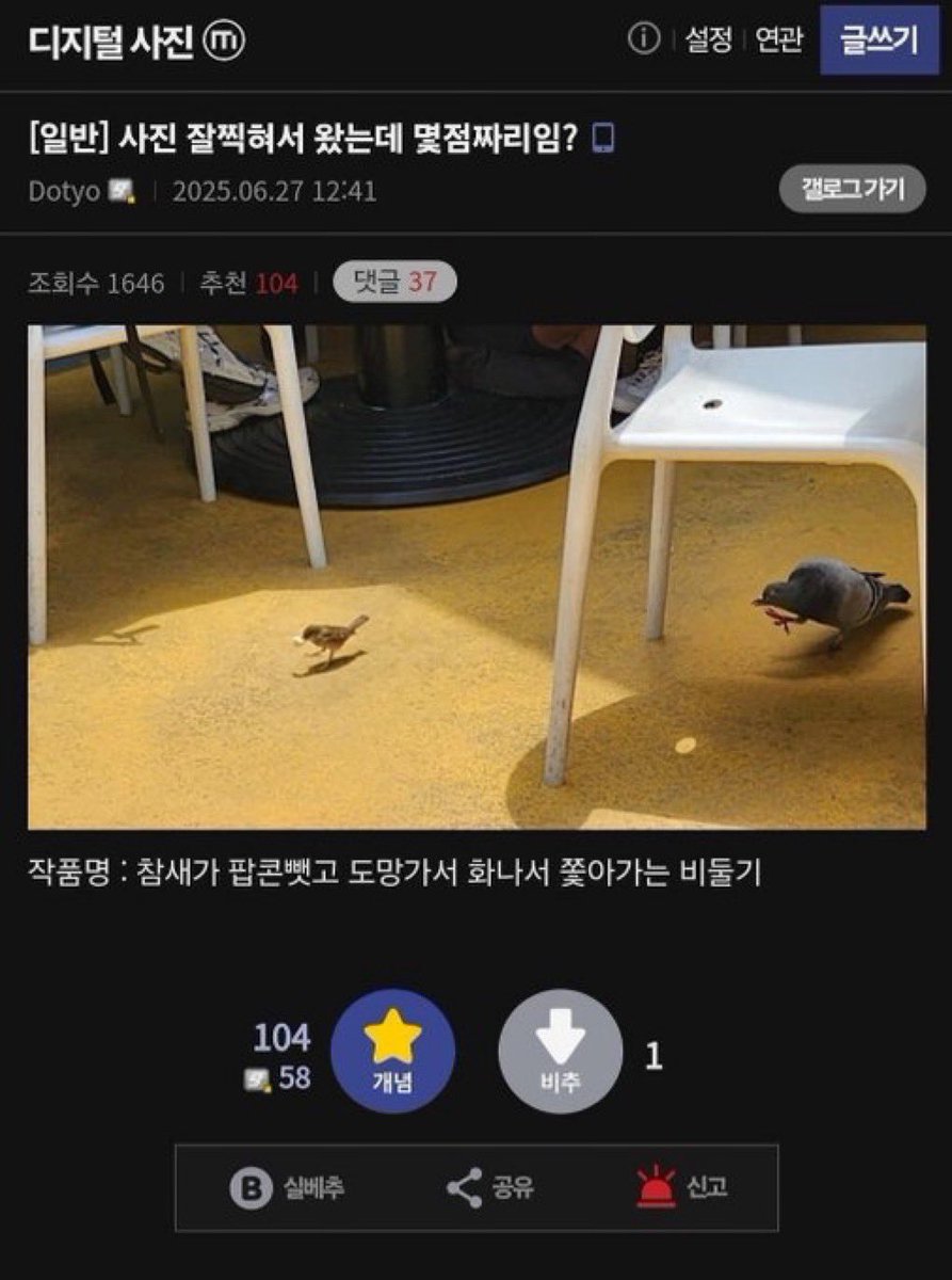 gudoknyang1001's tweet photo. https://t.co/FLat57kbia