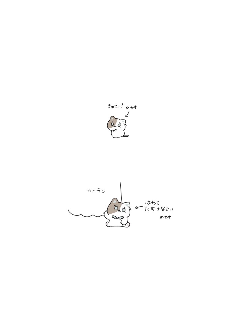 poyopoyopy0's tweet photo. ふてぶてしい＝𝓚𝓪𝔀𝓪𝓲𝓲 https://t.co/M7a5fjeGbZ