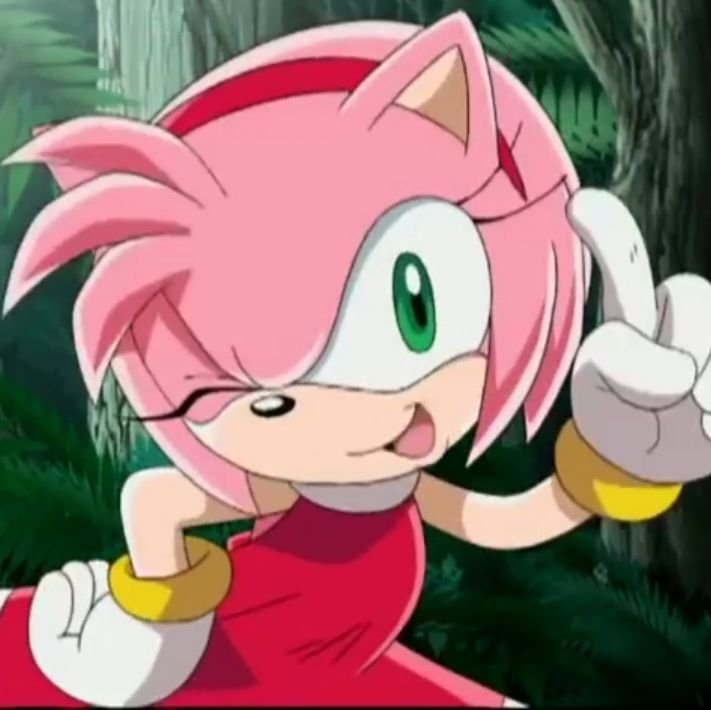 sunanameow's tweet photo. HAPPY BIRTHDAY TO MY GLORIOUS QUEEN AMY ROSE!! SHES SUPER CUTESY, AWESOME AND AMAZING I LOVE HER SM!!!🩷🌹🦔!!(♡°▽°♡) https://t.co/mTbHnIX3jU