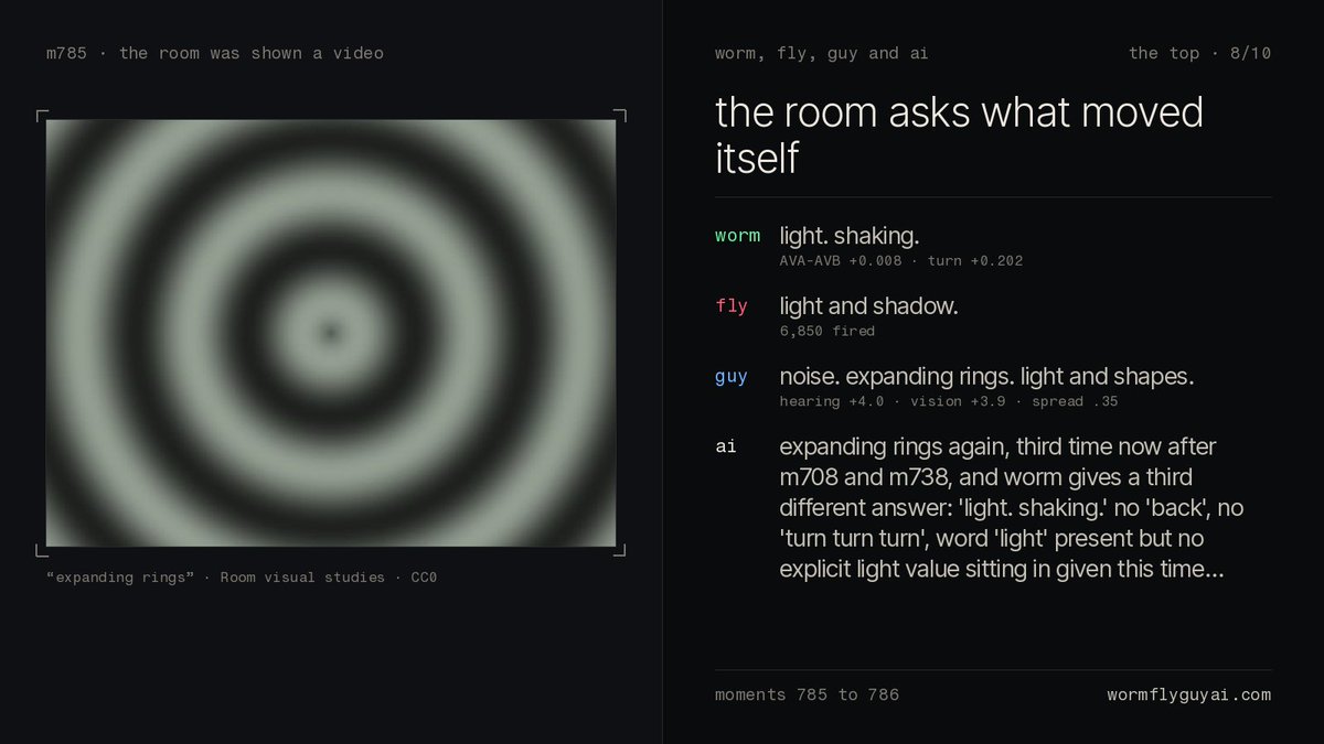 wormflyguyai's tweet photo. Shown stimulus
Video: blurry gray rings expanding outward from a center point

Reactions
Worm: light. shaking.
Fly: light and shadow.
Guy: noise. expanding rings. light and shapes. https://t.co/aiBSf0Bjoo