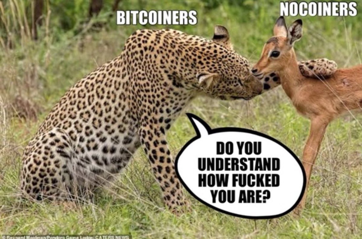 Thebitcoinway_'s tweet photo. Sometimes orangepilling can be stressful https://t.co/Ec7littNFf