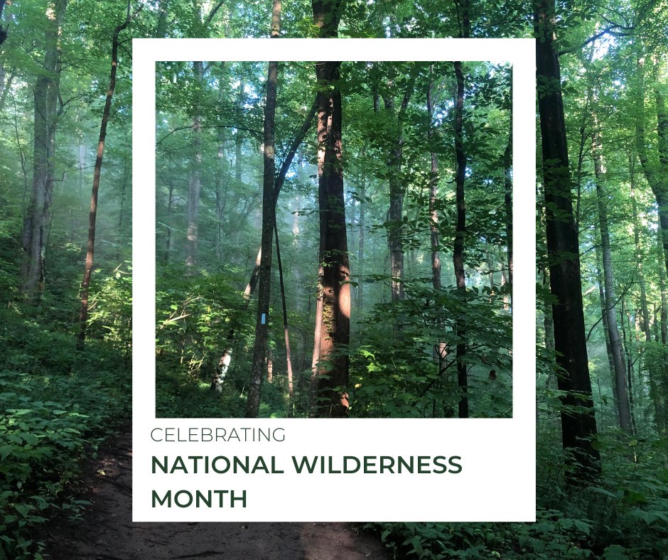 WyssFoundation's tweet photo. September is #NationalWildernessMonth! 🌲🐻 The Wyss Foundation is proud to have protected more than 130 million acres of the world's most wild places, ensuring they remain pristine for generations to come! https://t.co/F1vE8IneId
