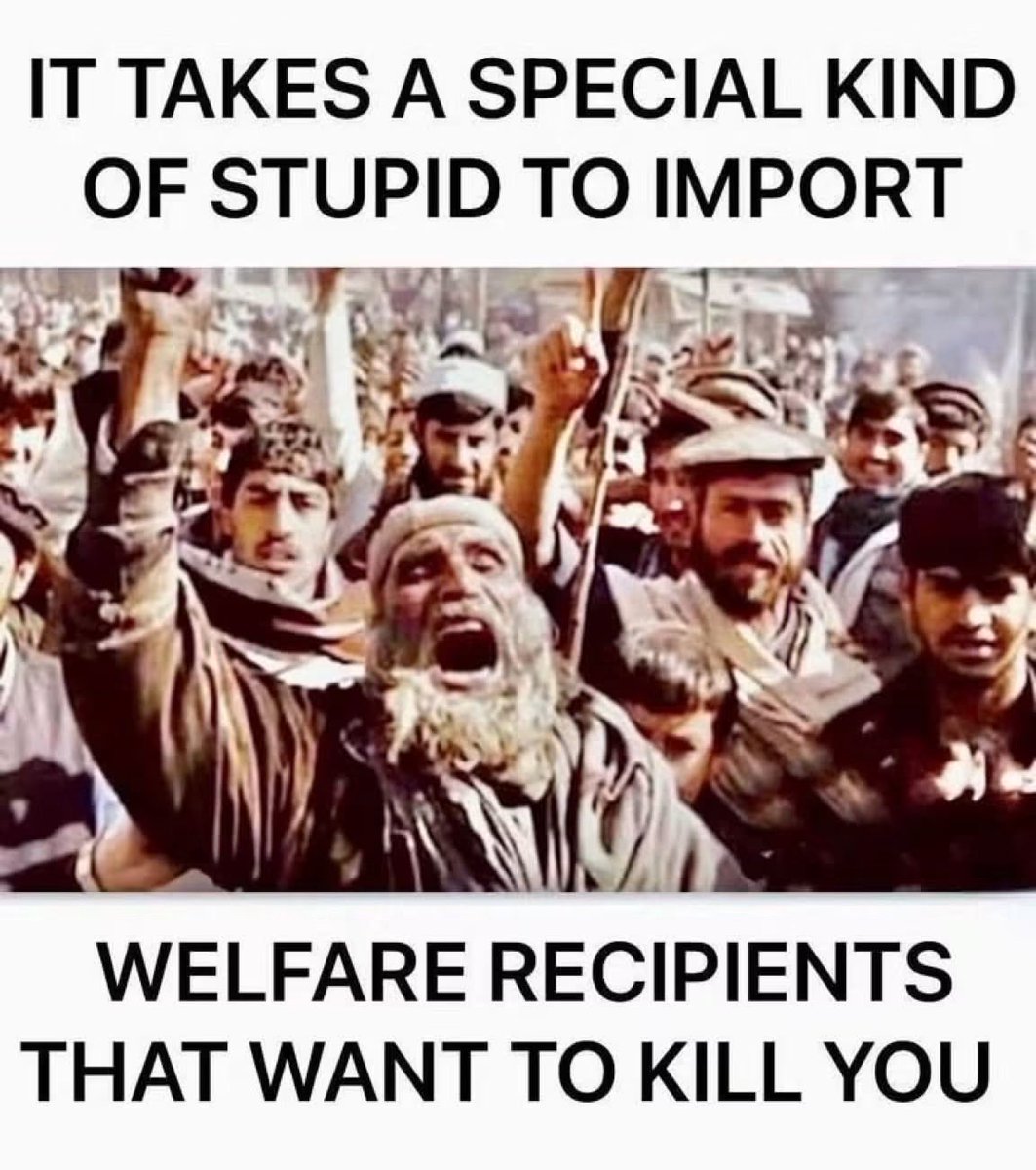 Weedhopper777's tweet photo. @Bigdaddy_alex1 No respect for America > Assimilating or integrating into American society usually takes 10 to 20 years (about one generation) for the first-comer to adapt culturally and economically, while full societal and cultural blending typically spans two to three generations. Go Home now https://t.co/aofpLK5buR