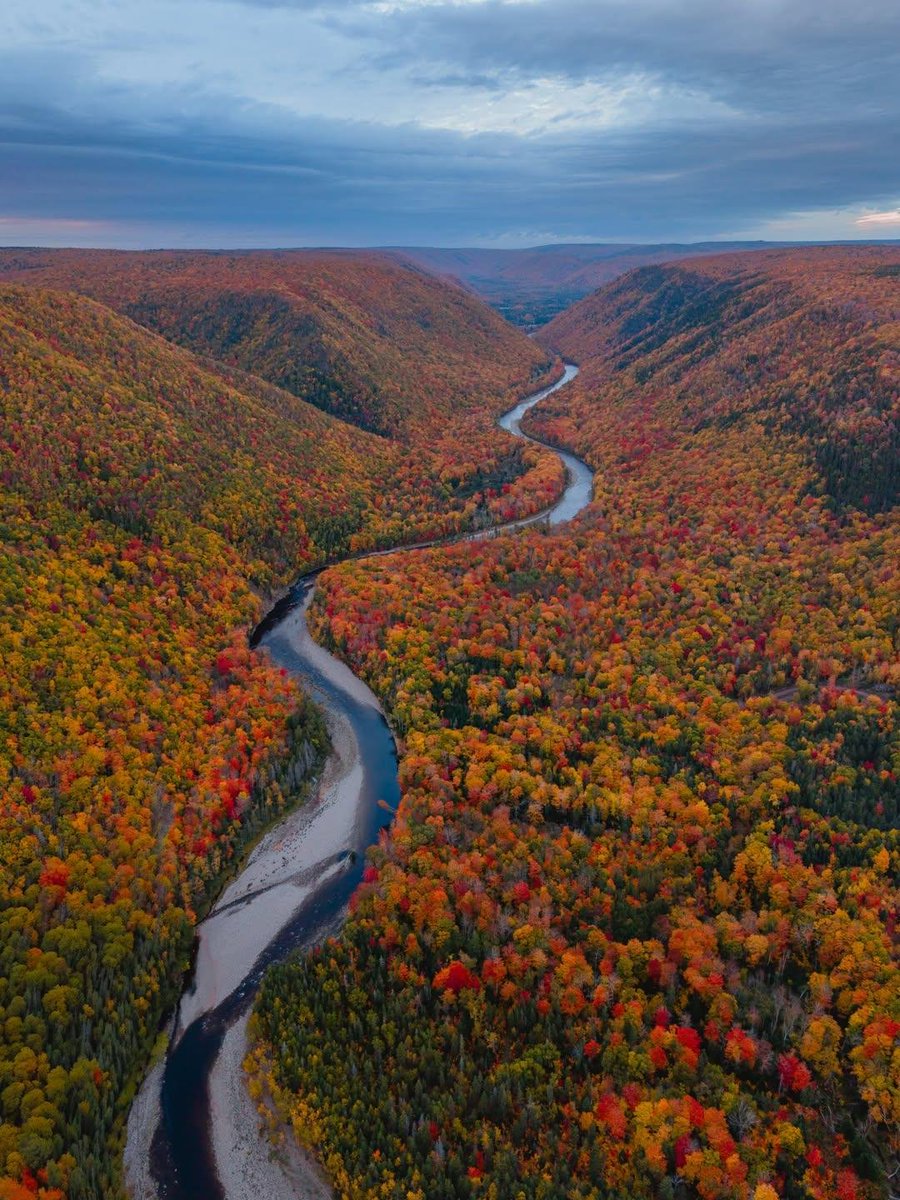 naturebeauty760's tweet photo. Nova Scotia, Canada 🇨🇦 https://t.co/XJ9jhPETNL