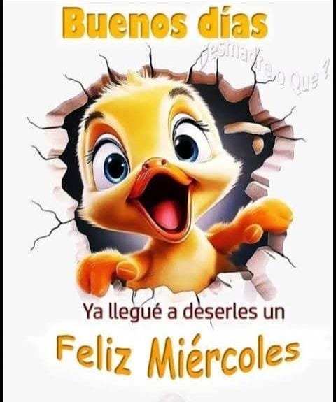 IrmaHernandey's tweet photo. 💕⭐ Holi feliz y excelente miércoles tengan tod@s 🤩 https://t.co/id8lyVAmgr