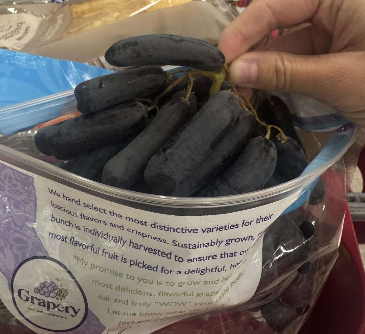 _princessashh_'s tweet photo. went grocery shopping and seen these grapes that reminded me of you micro subs but bigger ☺️ https://t.co/MzfjO1b2uZ