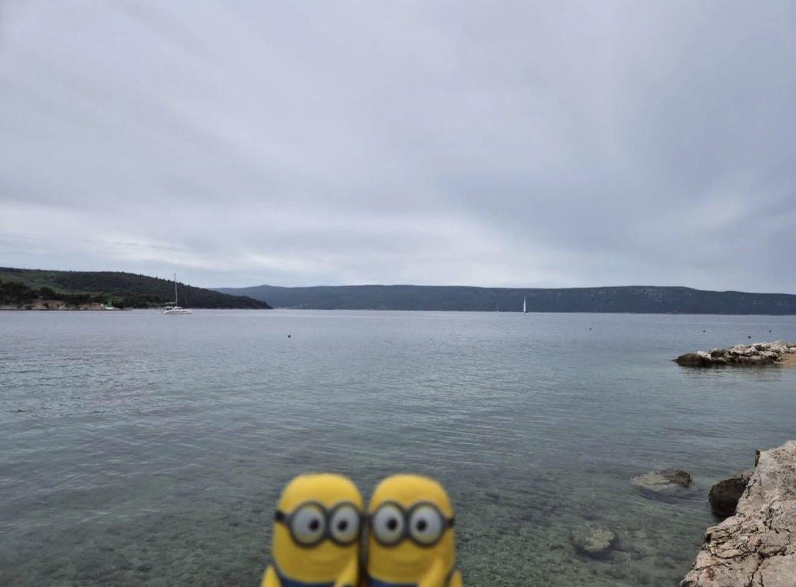 tagyourwho's tweet photo. you are my one in a minion https://t.co/Ven7nvl8Ra