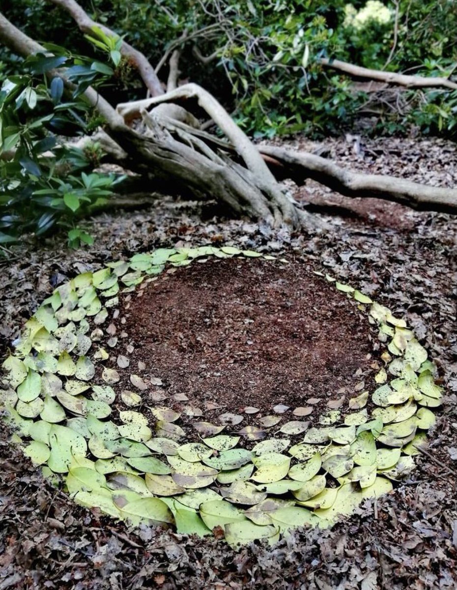 franch_laura's tweet photo. Hay una belleza especial en lo efímero, en crear algo destinado a transformarse con el viento, la lluvia, el mar o el paso del tiempo. 

​Descubrimos el Land Art de Jon Foreman, quien encuentra en la naturaleza su lienzo y refugio.

👇🏻Hilo. https://t.co/H9lcOYlCfC