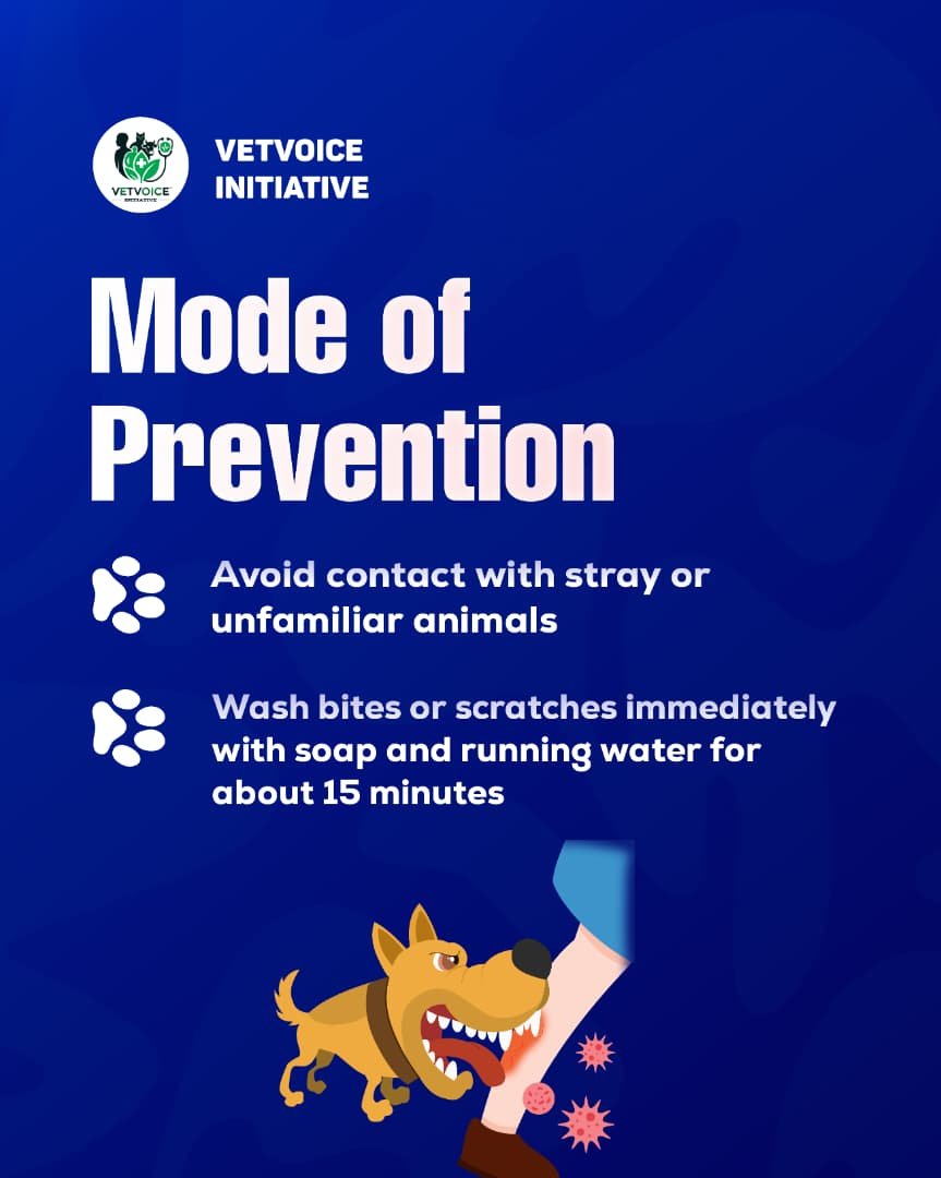 VetV_Initiative's tweet photo. One bite can change everything.

Rabies is deadly, but it can be prevented. Know the signs, vaccinate your pets, and never ignore an animal bite.

Stay informed. Stay safe. Stop rabies.

#RabiesAwareness #RabiesPrevention #OneHealthOneFuture https://t.co/AqjK18MfnP