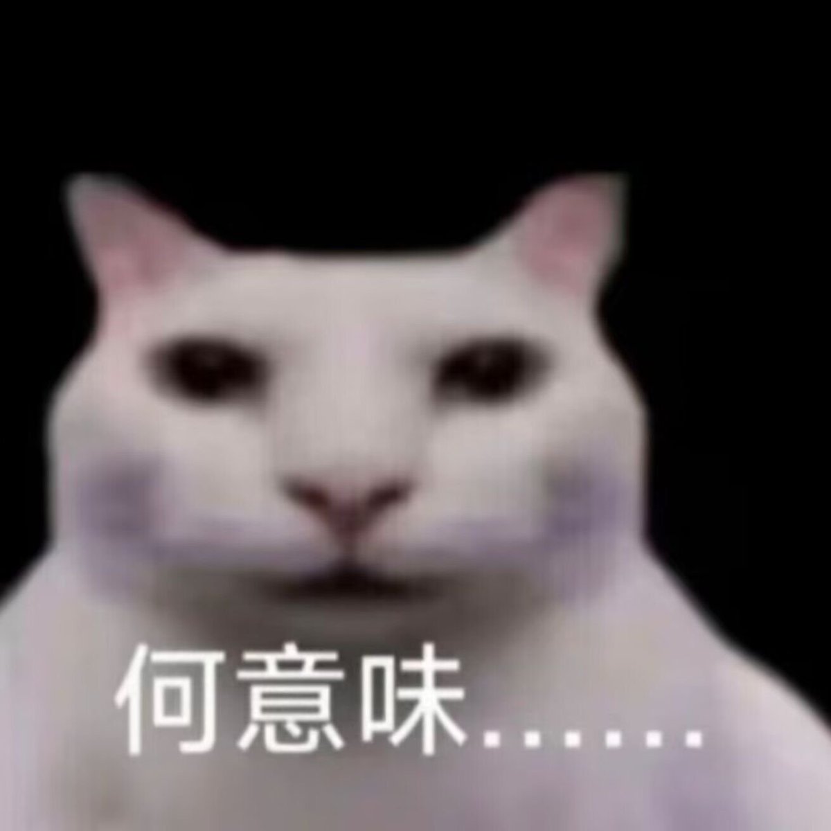 saiyucq's tweet photo. @emFZ1fRHsl60917 https://t.co/1cI2NOkyIg