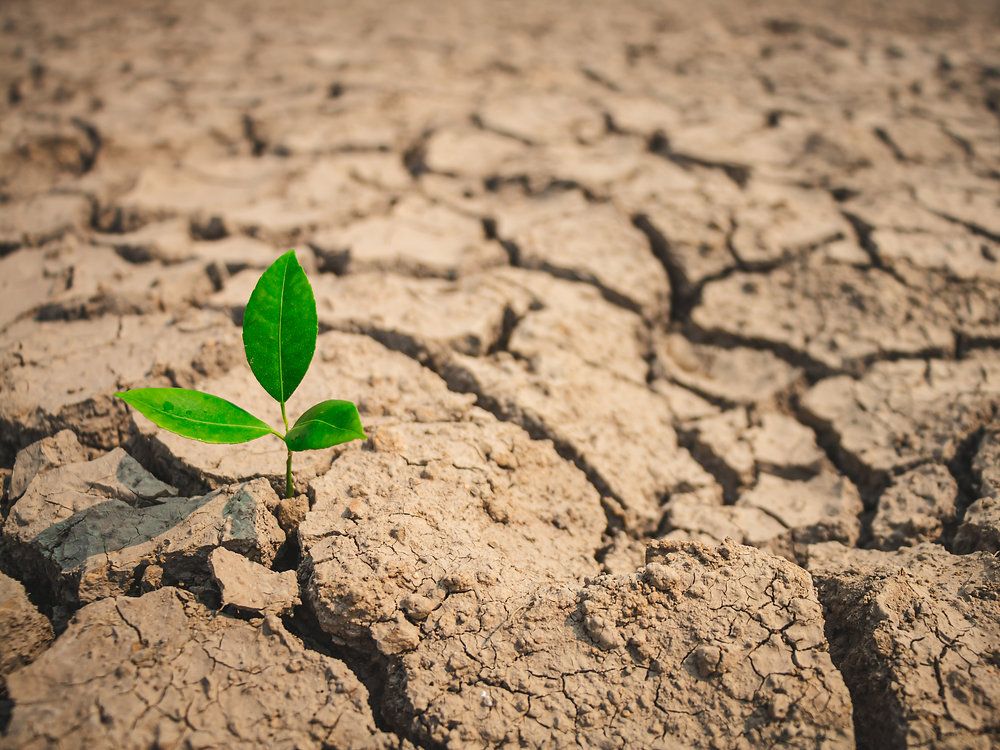 MRFImpacts's tweet photo. Monitoring environmental conditions helps farmers &amp; communities prepare for droughts, floods, heat waves &amp; severe storms. See how land-grant universities are working together to help collect &amp; share data: https://t.co/jZzJtyK2pp 

#StandReady #BeReady #BePrepared #NPM2026 https://t.co/UprxKSobCR