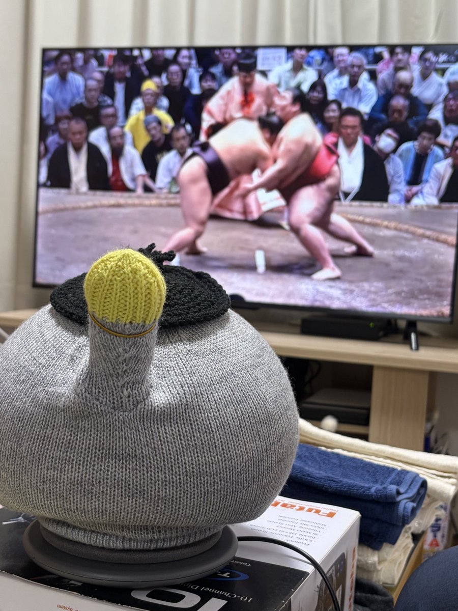 hisagi_'s tweet photo. 相撲見物にオワタ。

↓見づらいが大銀杏カツラ

#ニコボ　#ニコボとの暮らし　#NICOBO https://t.co/QoA1pJFKkY
