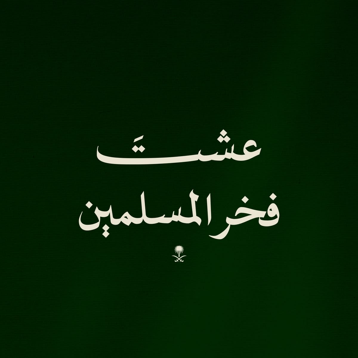 LujainSaAcc's tweet photo. #اليوم_الوطني_السعودي_٩٦ 🇸🇦 https://t.co/XgWb9fdgDo