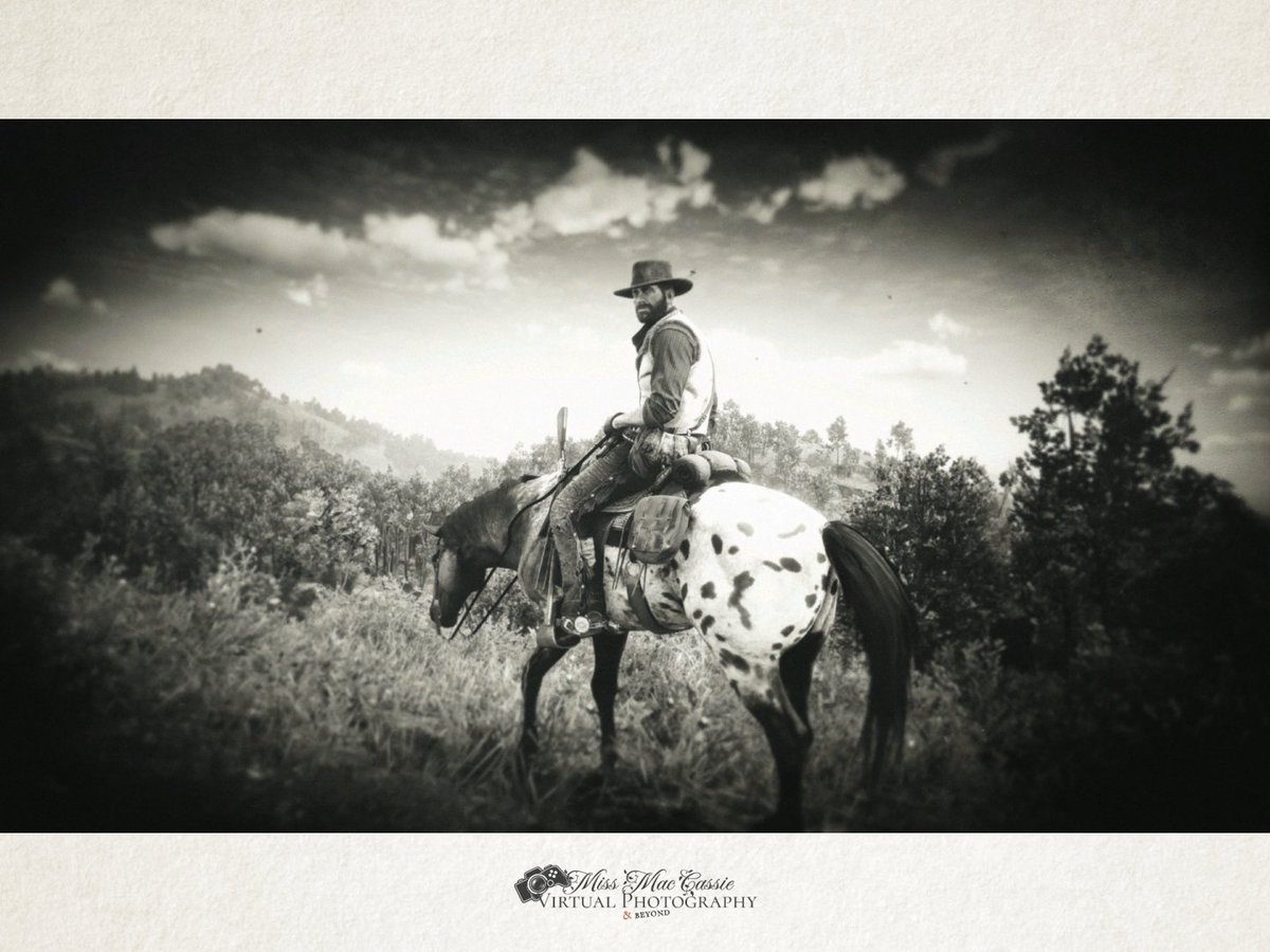 MissMacCassie's tweet photo. Arthur Morgan 🖤
Game: #RDR2 #RedDeadRedemption2 | #VirtualPhotography #VPinBW https://t.co/n758dzU0Z7